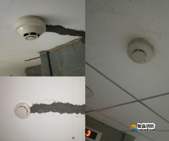 1743996211432303.png image.png